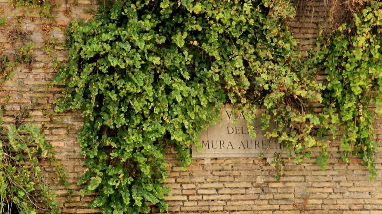 Apt In Front Of The Vatican City 로마 이탈리아